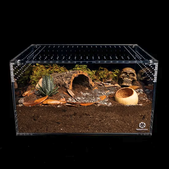 TARANTULA CRIBS - Large Terrestrial Cuboid
