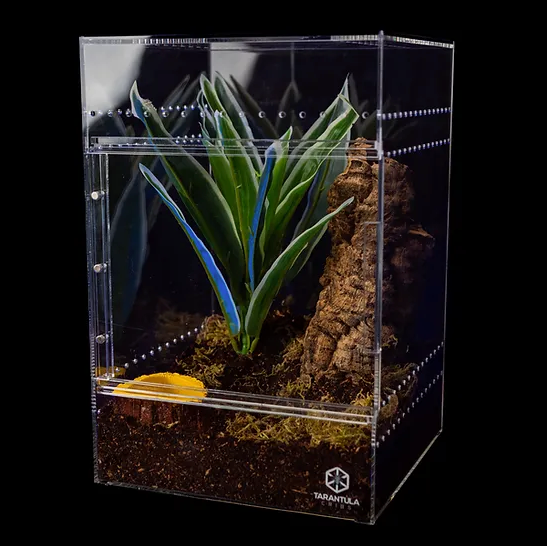 TARANTULA CRIBS - Large Treehouse