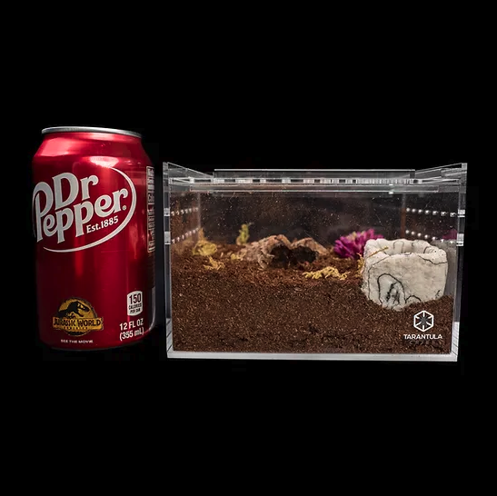 TARANTULA CRIBS - Small Terrestrial Slider