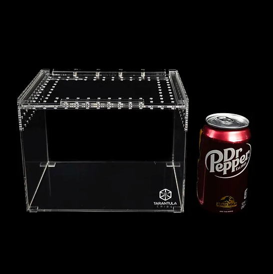 TARANTULA CRIBS - Medium Terrestrial Slider