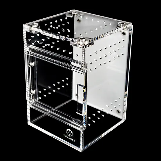TARANTULA CRIBS - Treehouse Switch - Small