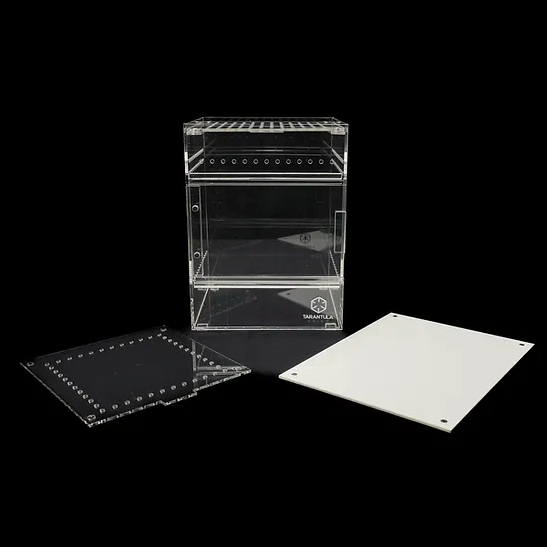 TARANTULA CRIBS - Treehouse Switch - Medium