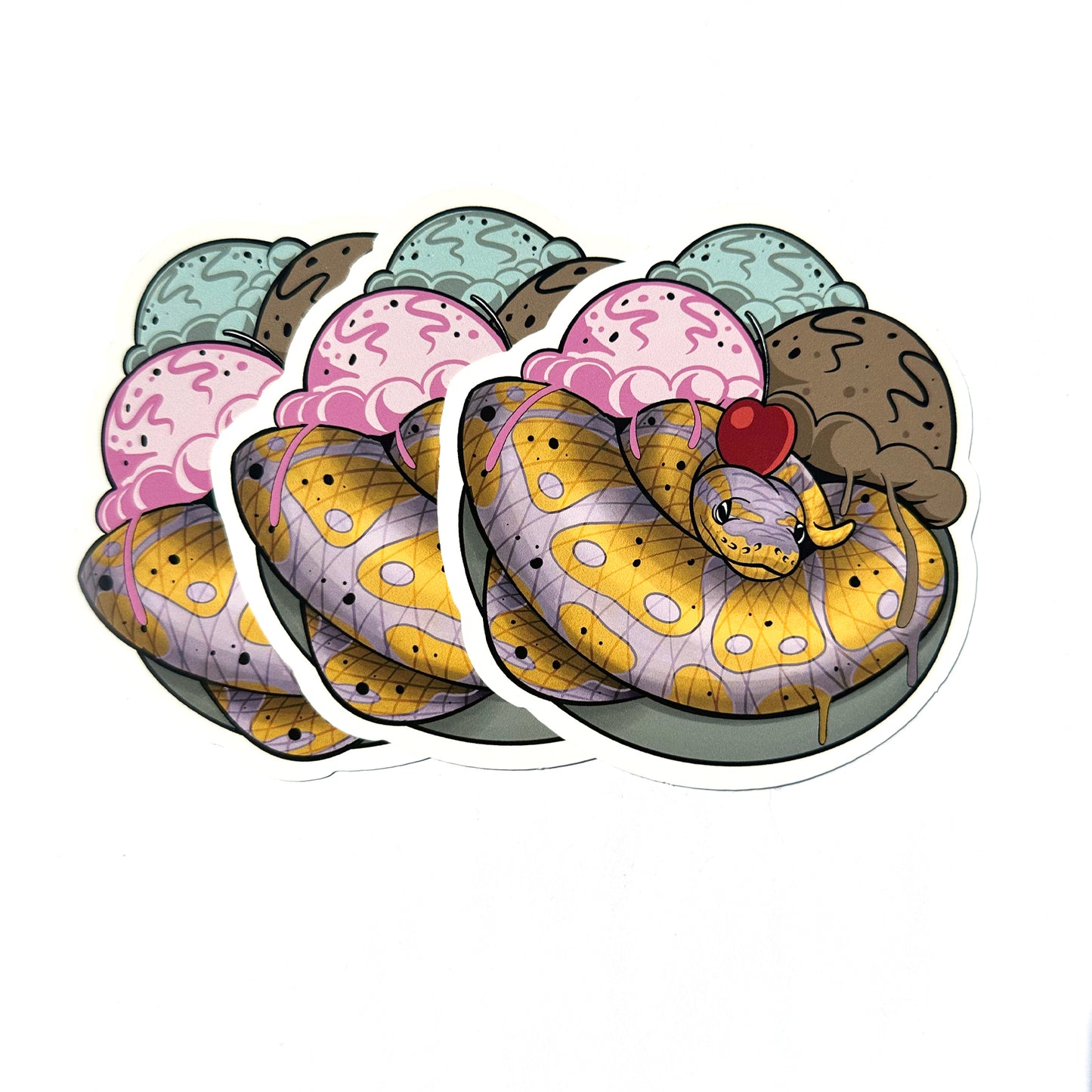 Ball Python Banana Split