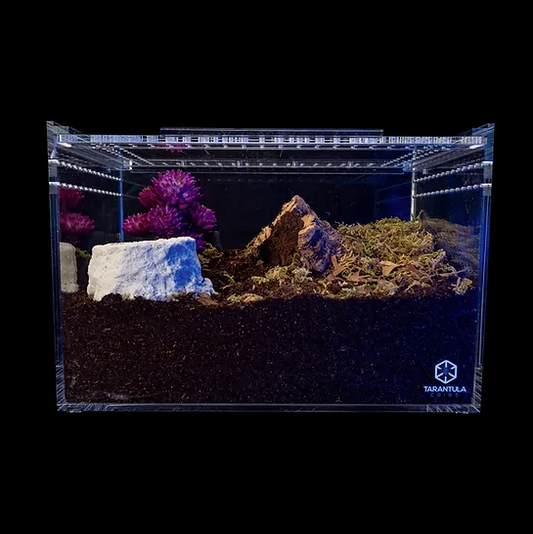 Large Slider Crib - Clear Bottom