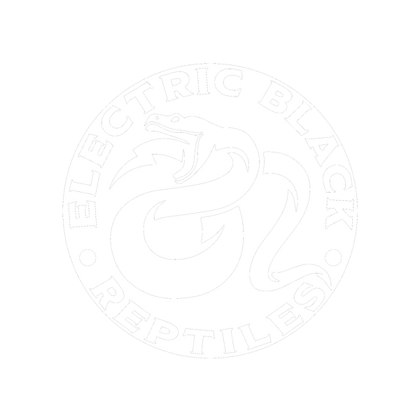 ElectricBlack