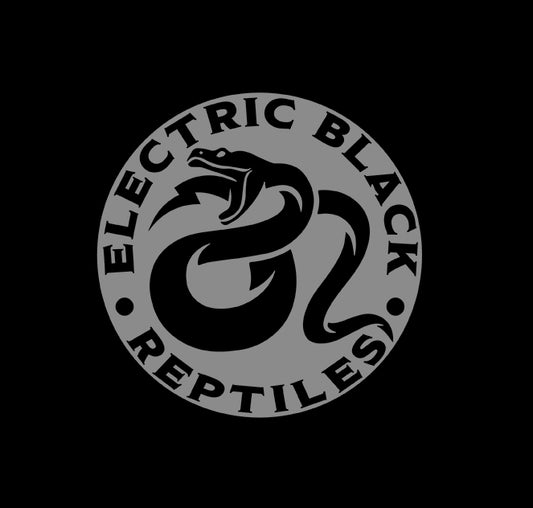 Ball Pythons – ElectricBlack