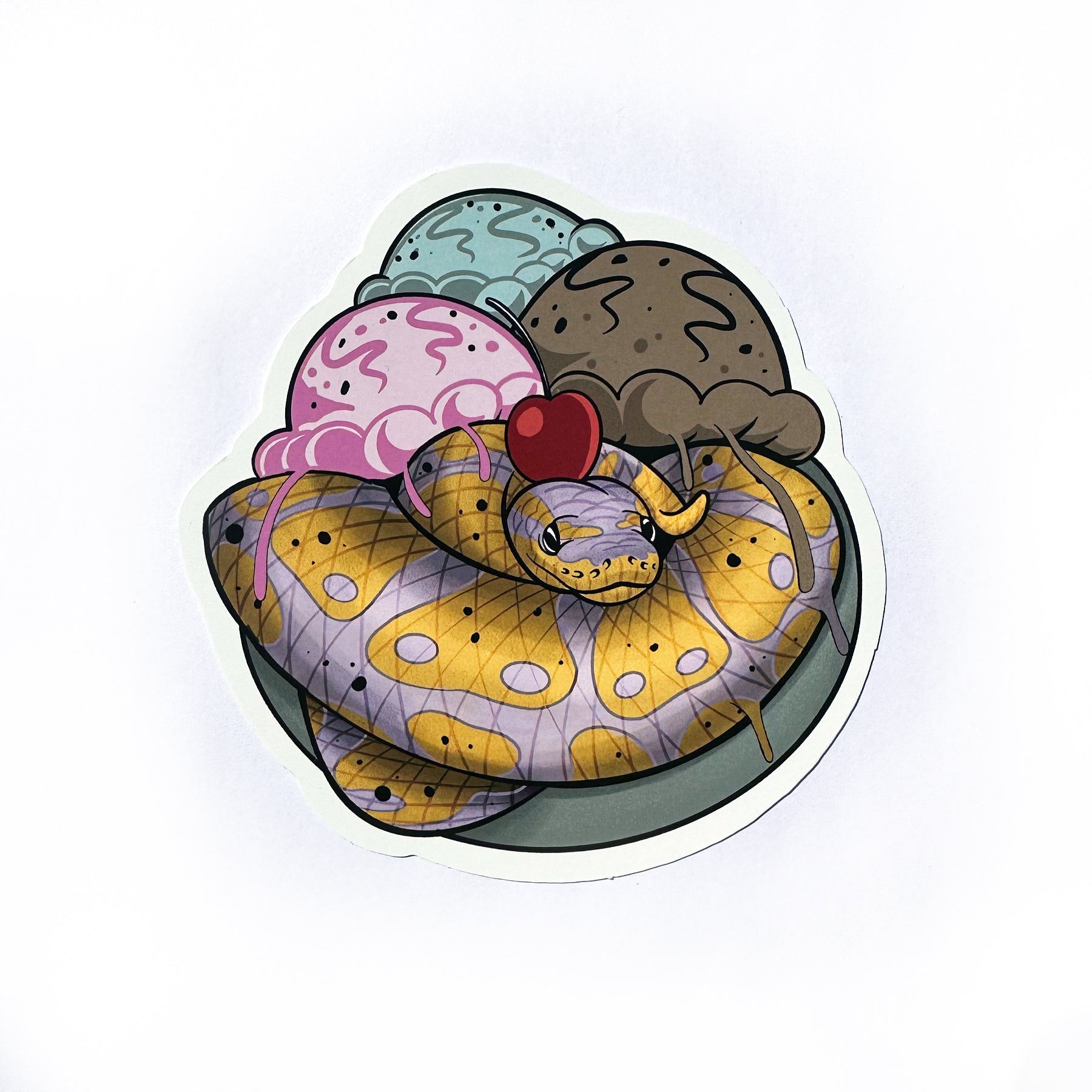 Cute Ball Python